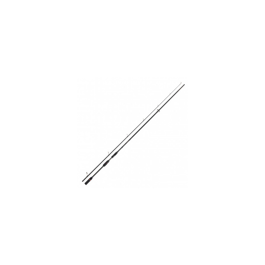 Cormoran GTS Pike&Zander 2,70m 30-100g