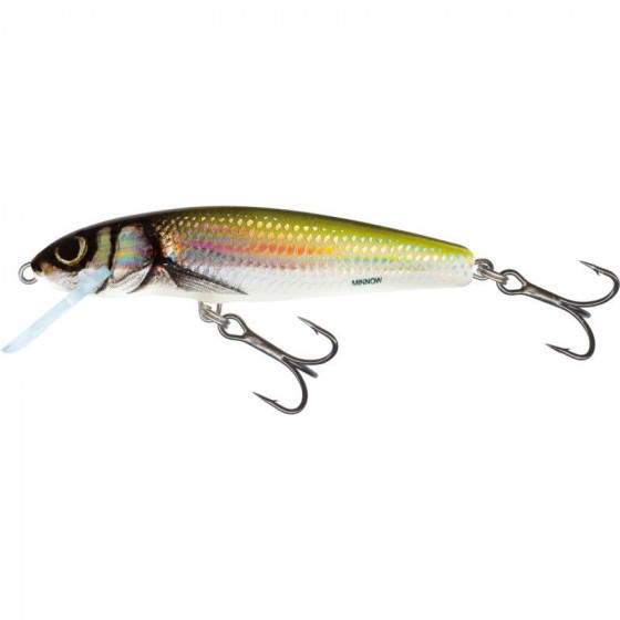 Salmo floating Minnow 7cm