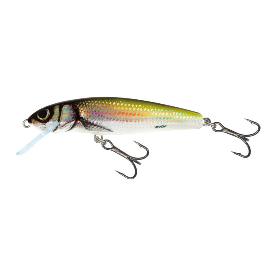 Salmo floating Minnow 7cm