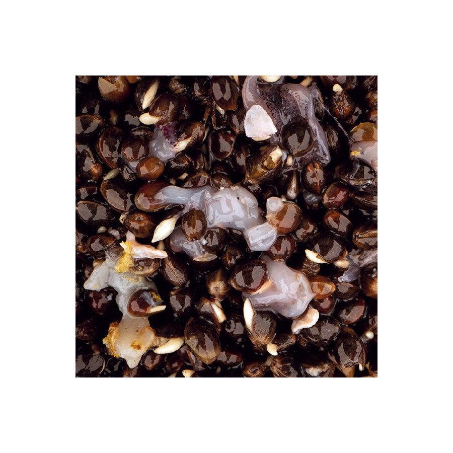 Nash Scopex Squid Hemp/Hanf 2,5 Liter
