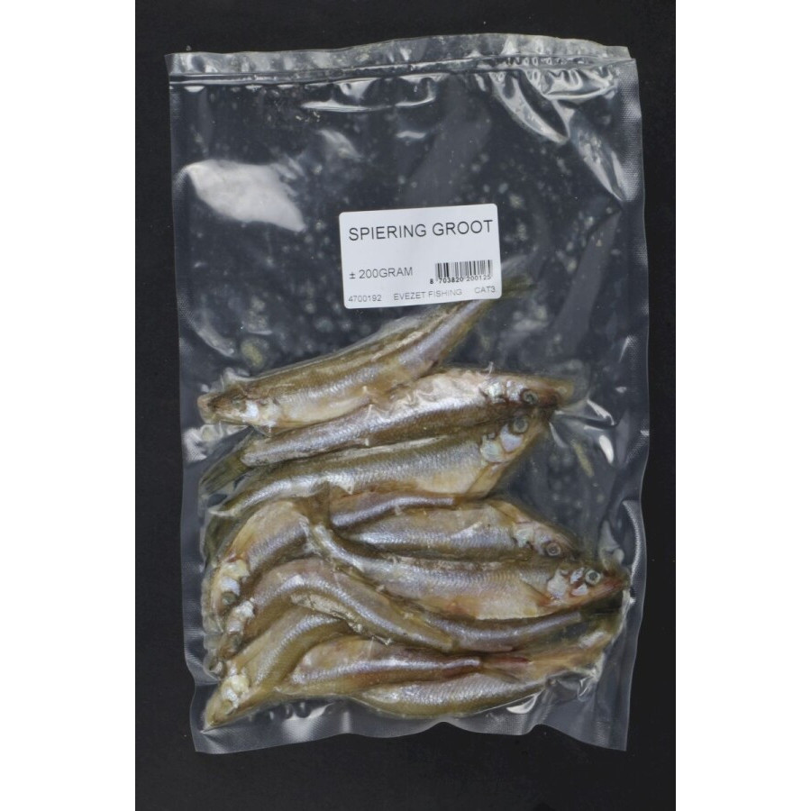 Evezet Spiering/Smelt groß, vacuum, ca 200gr.
