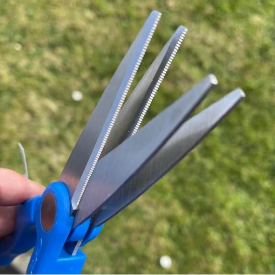 CRESTA Double Blade Wormchopper - Wurmschere