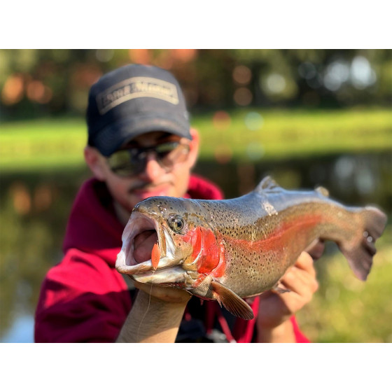 Spro Trout Master SERC Spoon