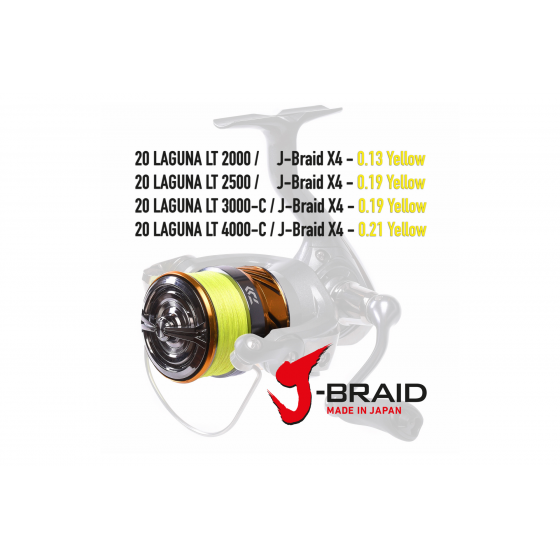 Daiwa 20 Laguna LT, versch. Größen, bespult mit  J-Braid x4