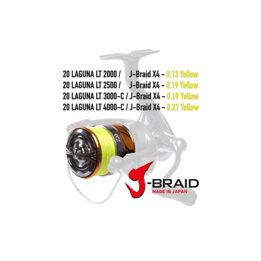Daiwa 20 Laguna LT, versch. Größen, bespult mit  J-Braid x4