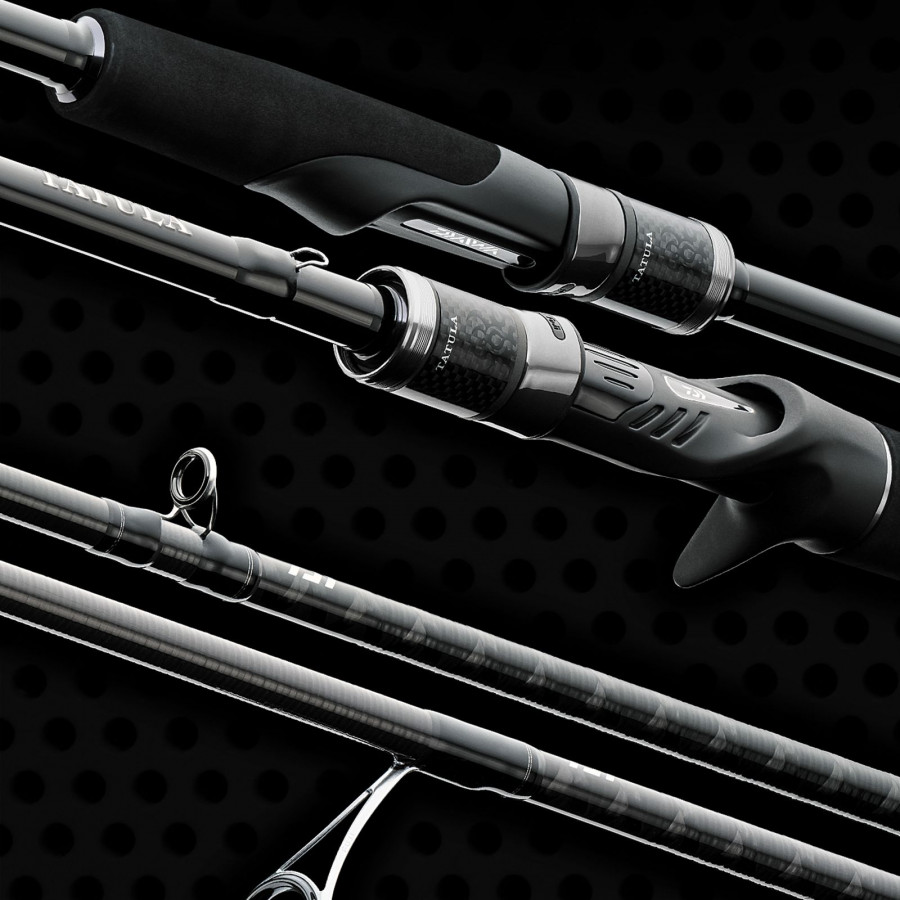 Daiwa Tatula XT BC, versch. Modelle