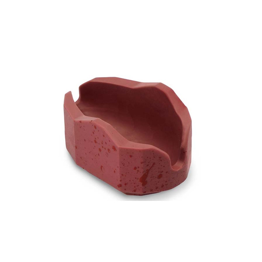 Delphin Method QUIX Form