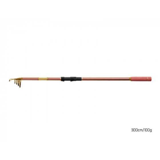 Delphin QUEEN Telerute, 3,00m, -100g