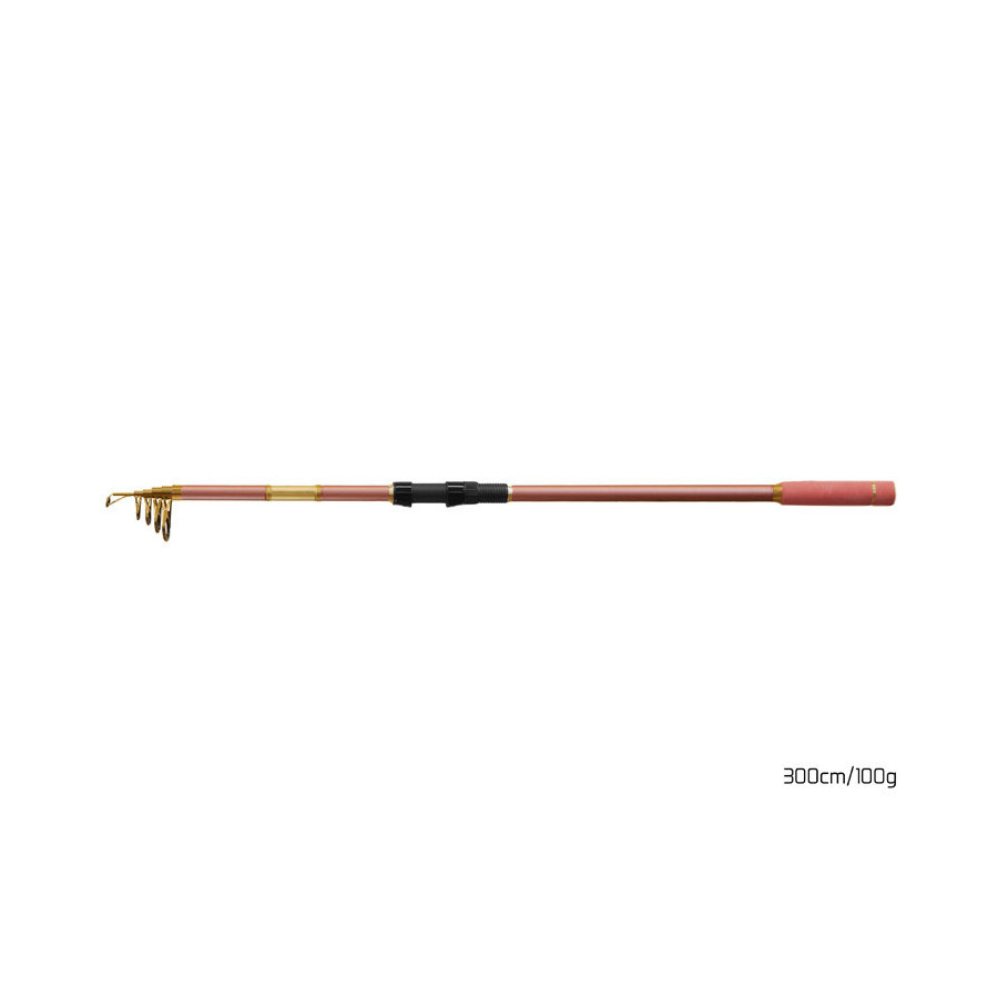 Delphin QUEEN Telerute, 3,00m, -100g