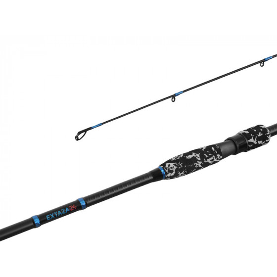 Delphin EXTAZA 24T, verschiedene Varianten