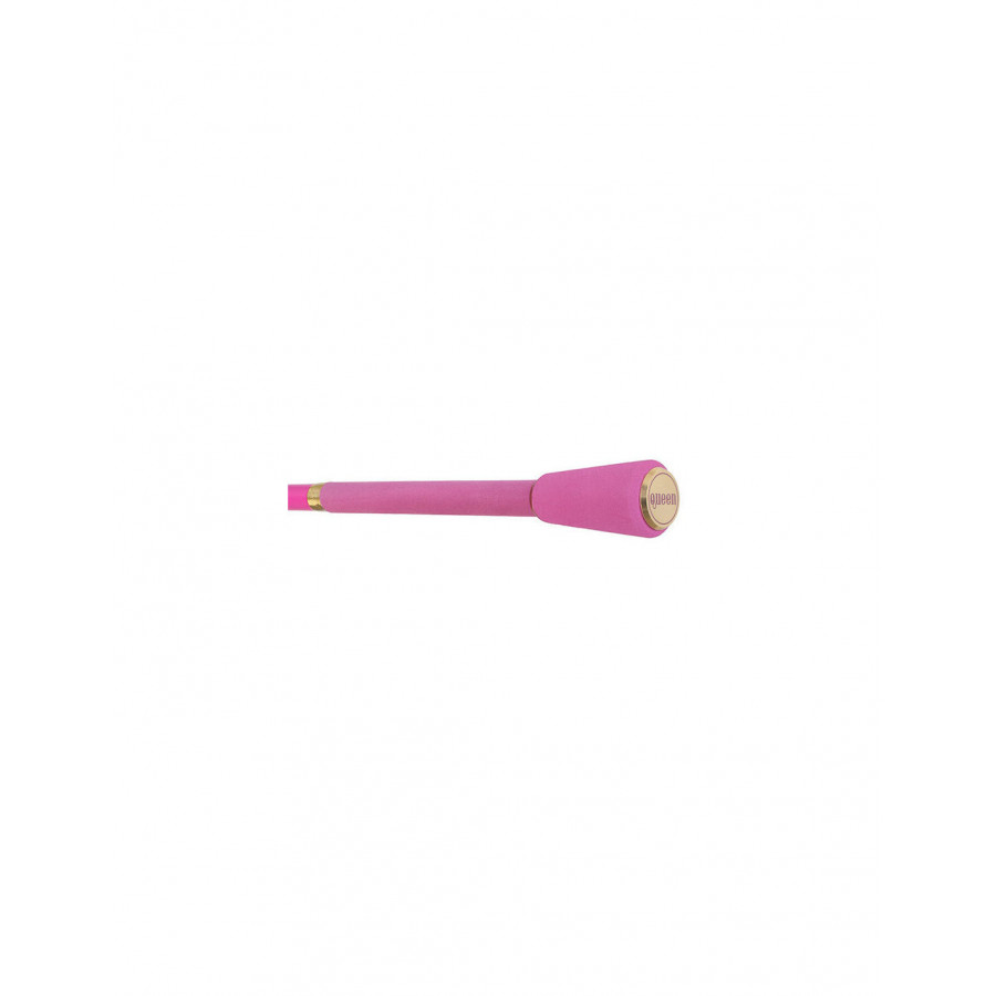 Delphin Queen Candy, Karpfenrute, 3,60m, 3lbs