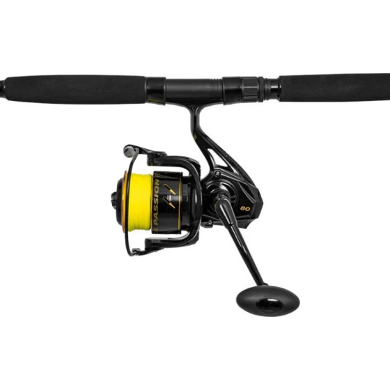Black Cat Hard Core Bank Rod Combo 3m bis 600g