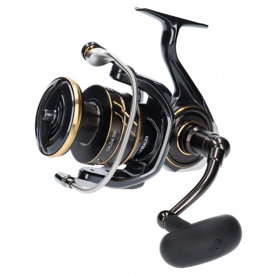 Daiwa 23 Caldia SW 8000-H